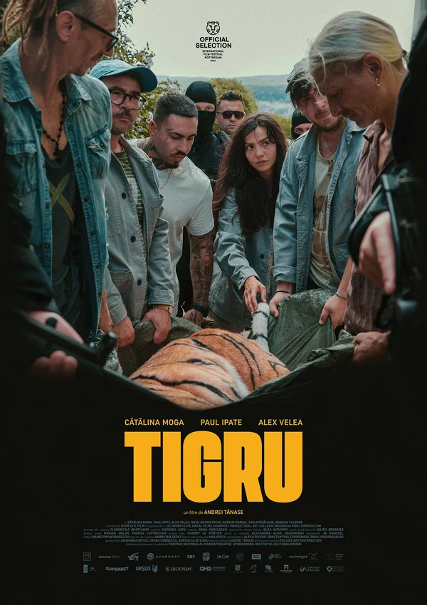 День тигра